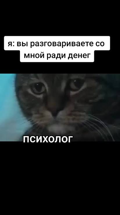 images - 2026-02-16T193220.603.jpeg