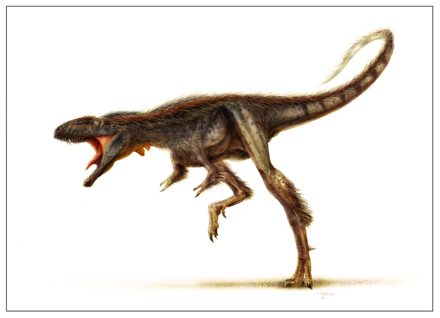 raptorex.jpg